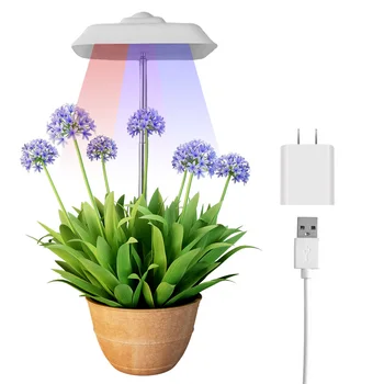 2022 Grow Lights for Indoor Plants Small Plant Light with Timer Grow Lights for Indoor Plants Full Spectrum