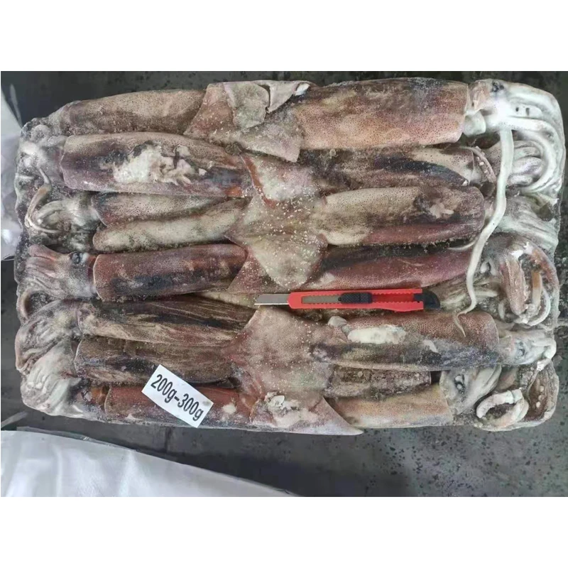 Whole Squid Rings Tentacles Tube Price Hot Sale Calamari Yamashita Jig Todarodes Loligo Frozen Illex Squid Argentina for Market