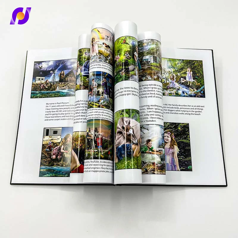 Wholesale Custom Large Art Offset Hardcover Photo Book Printing High Quality Full Color OEM Cheap Service Fancy Cardboard manufacture