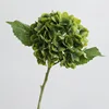 11 verde