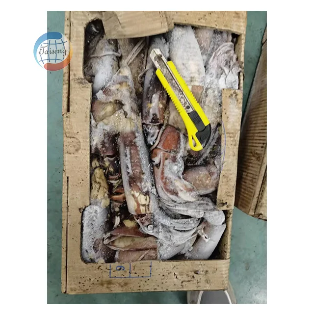 Cheap Fresh Seafood Frozen Calamari Indian Squid
