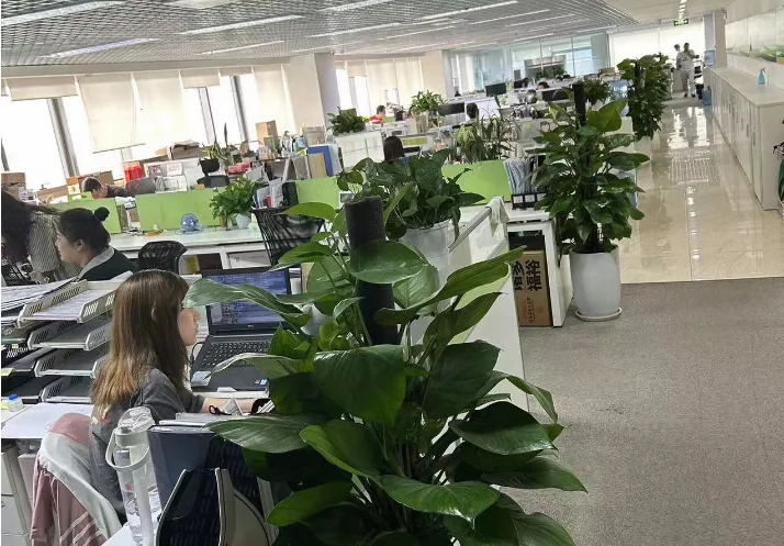 Beijing Zhuorun International Trade Co., Ltd.