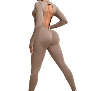 Factory Direct Women Seamless Yoga Jumpsuits Workout Long Sleeve Fitness Sport Nylon/Spandex Lightweight Full Length
