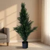 Green 90cm pine cypress