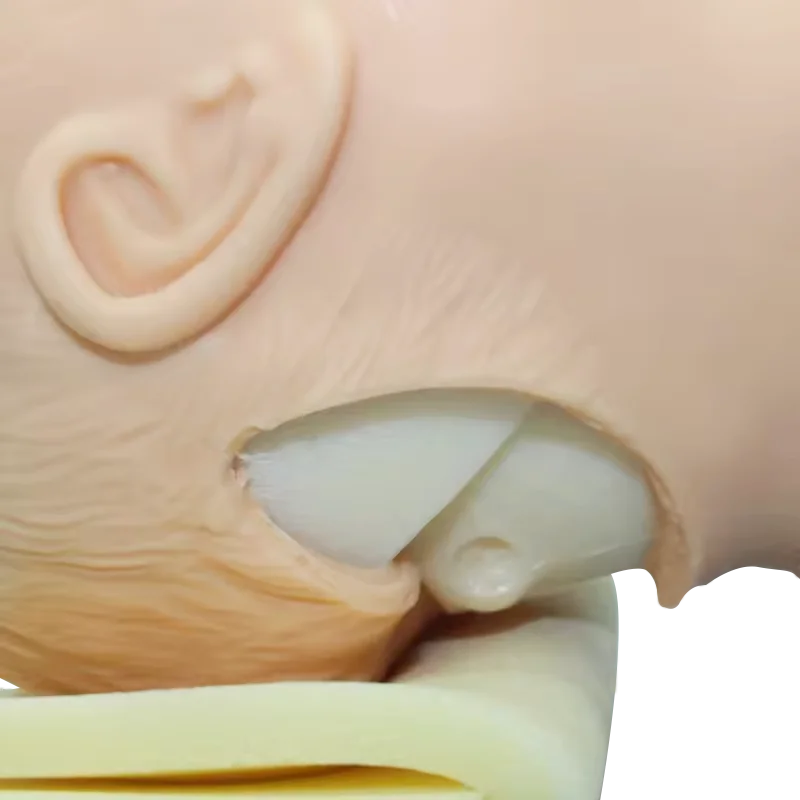 ADA-J50 Trachea Intubation Training Model With Alarm Device Airway School Teaching Manikin Neonate Infant Trachea Mode