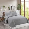 Palm leaf gray