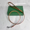 brown leash