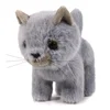Grigio