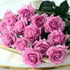 Rose madder
