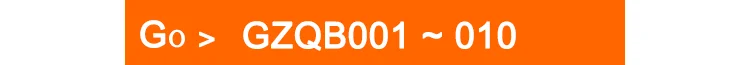 GZQB001-010