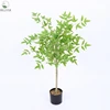 Southern bamboo green