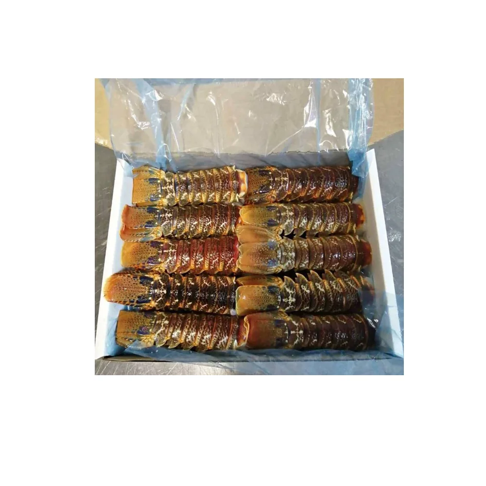 Whole Lobsters Tails Box Style Packaging Quick Frozen Steamed Stuffed