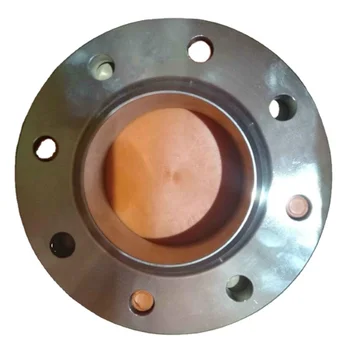 WN BL SO PL TH FLG Super Duplex Stainless Steel Forged Flange A182 F51 F60 F53 F55 High Quality Product