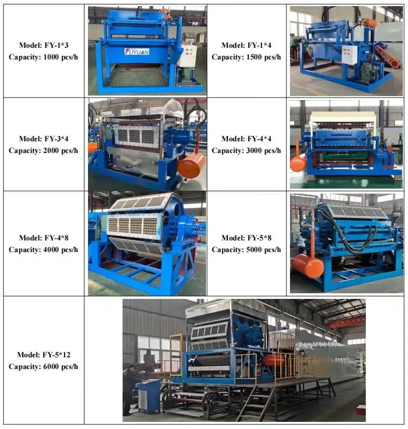 Satisfying Price Egg Tray Forming Machine Making Eggs Carton Egg Box Fruit Tray Maker