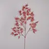 Large red branches
