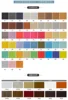 leather color 2