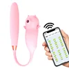 APP rosa telescópica