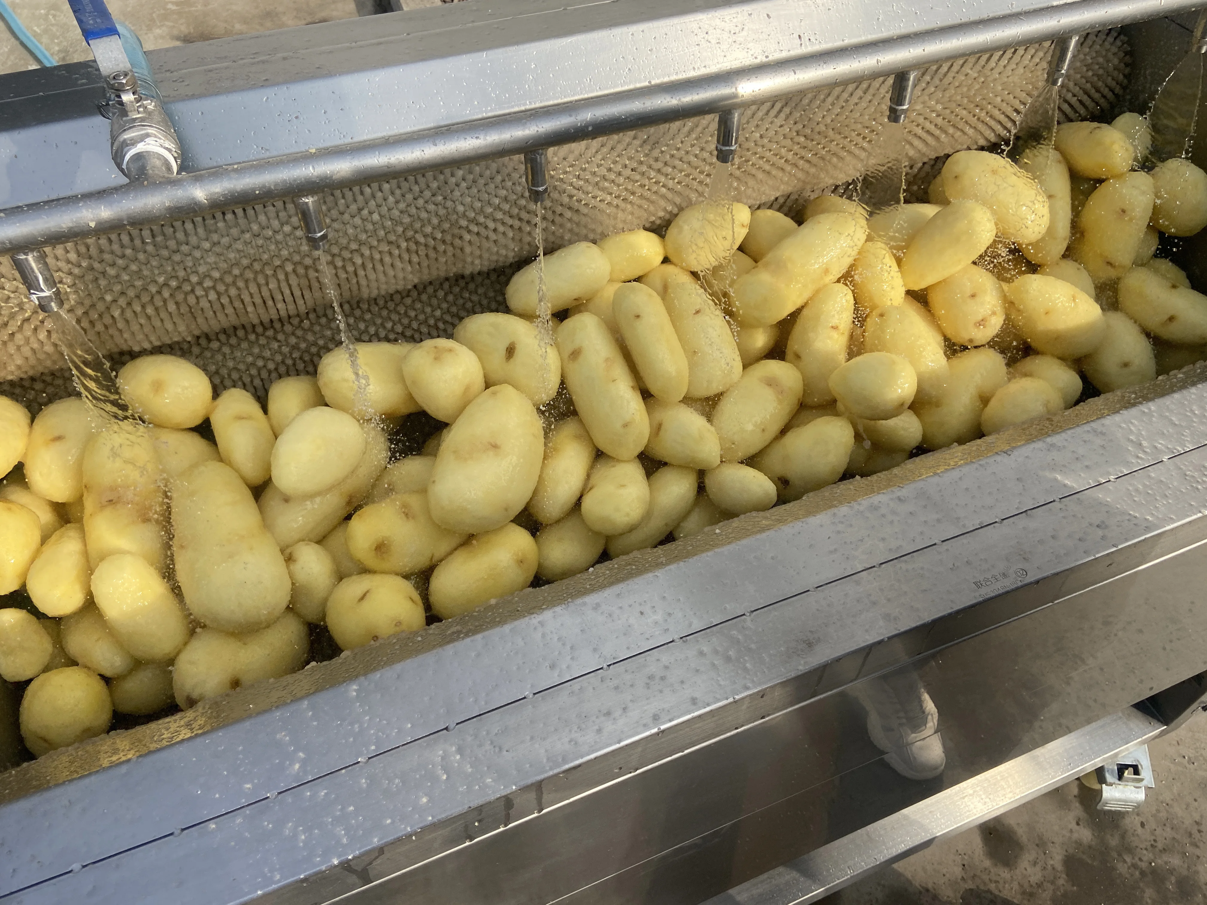 Steam peeling potatoes фото 34