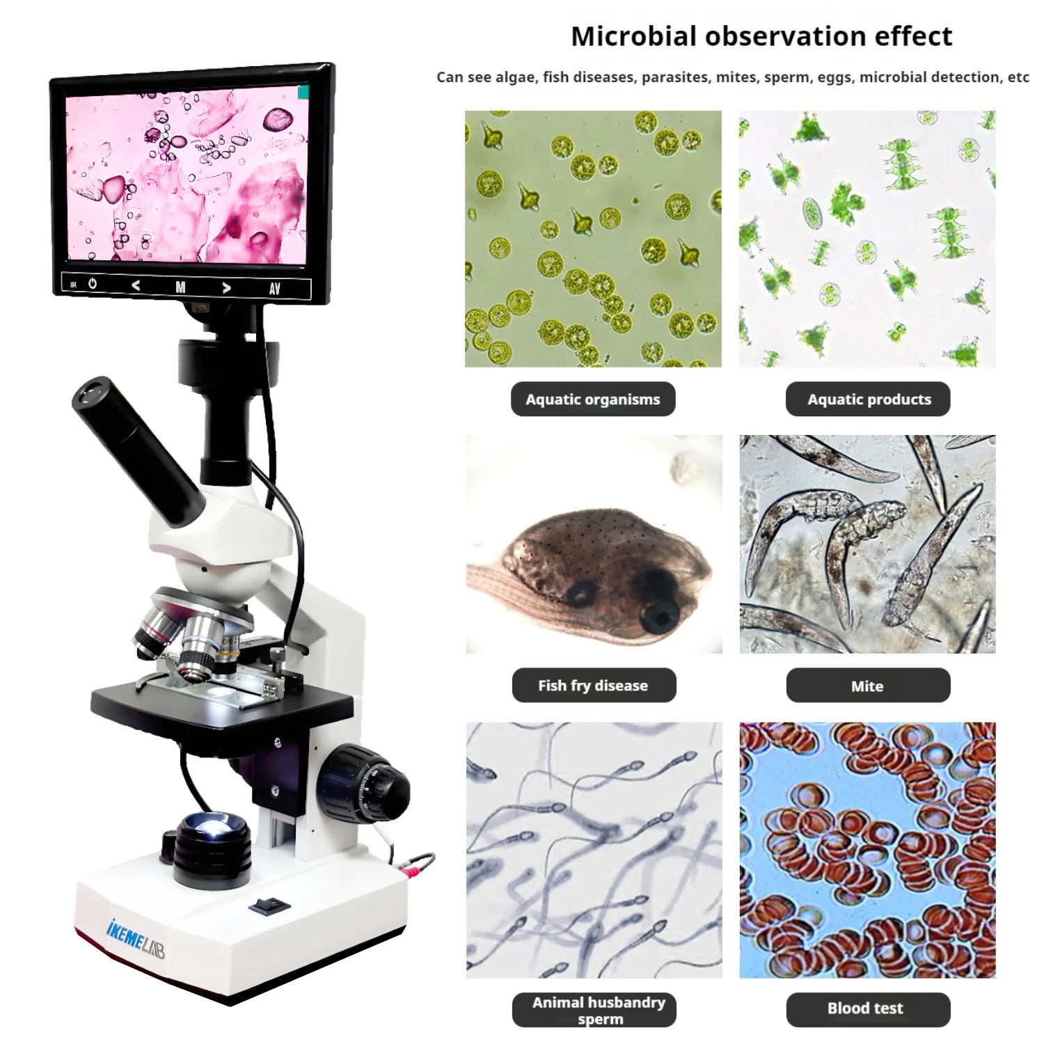 WEIAI Medical Cell Biological Studies Microscopio HD Screen 640x ...