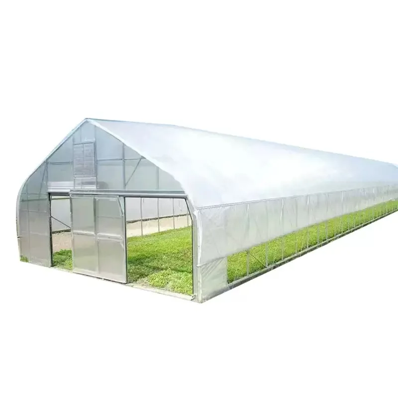 Commercial Polytunnel Green House Galvanized Material Single-span Film Agriculture Greenhouses for Sale