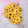 Yellow leopard