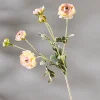 Pinkish yellow