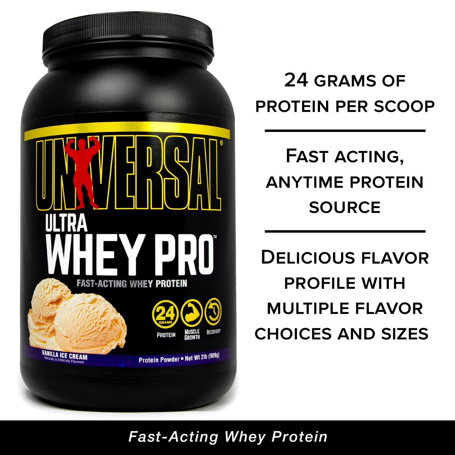 Precision plus protein westernc standards