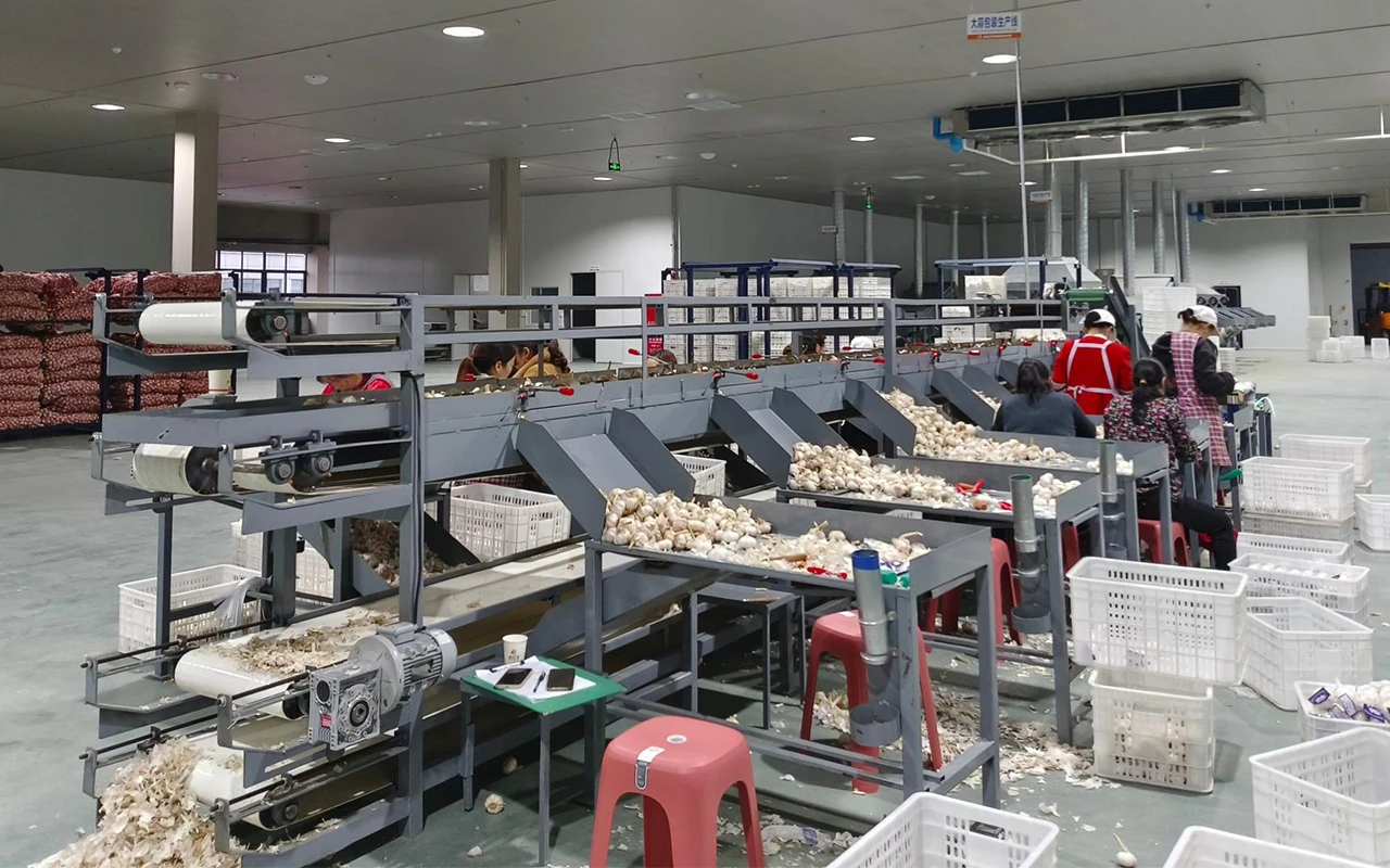 product-1-1 product-1-1