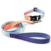 Correa para collar (degradado beige-rojo)