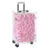 199 rose rosa colorate 40*30*60