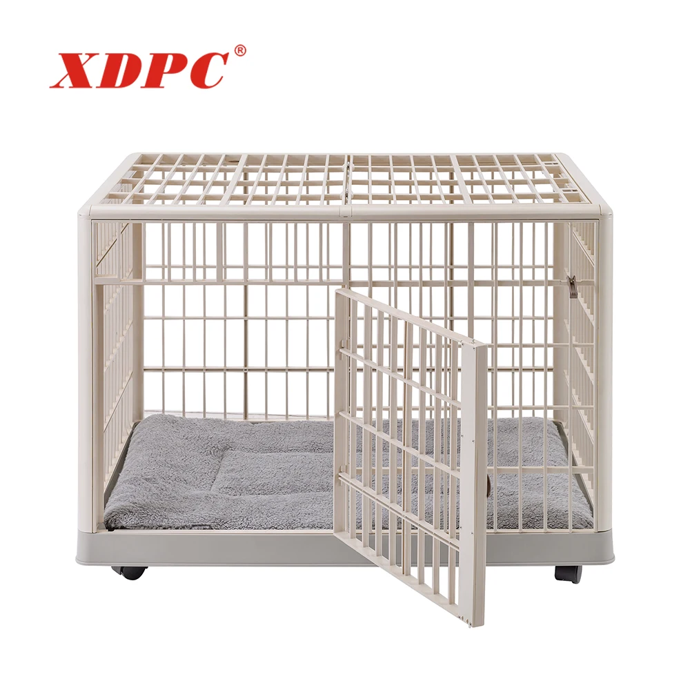 large plastic dog crate