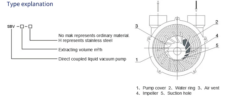 Roots Blower, 3HP, 3-Lobe - detail 6