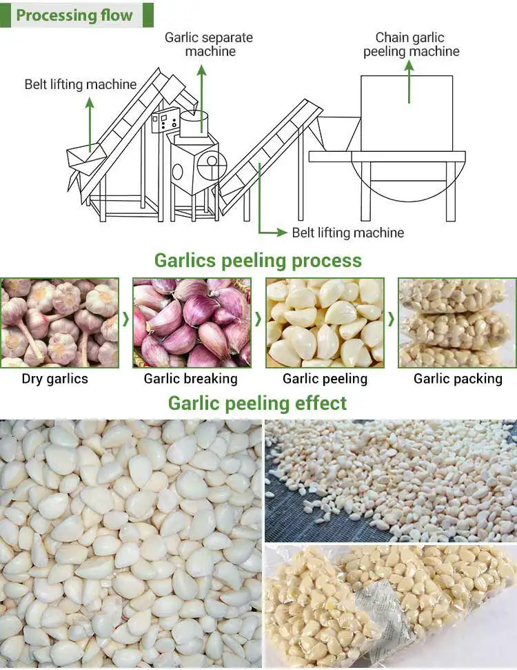 Automatic Fully Garlic Split Clove Break Peel Process Line Plant