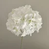 Hydrangea 90-white -70cm