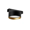 Black + Gold