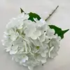 blanco lechoso