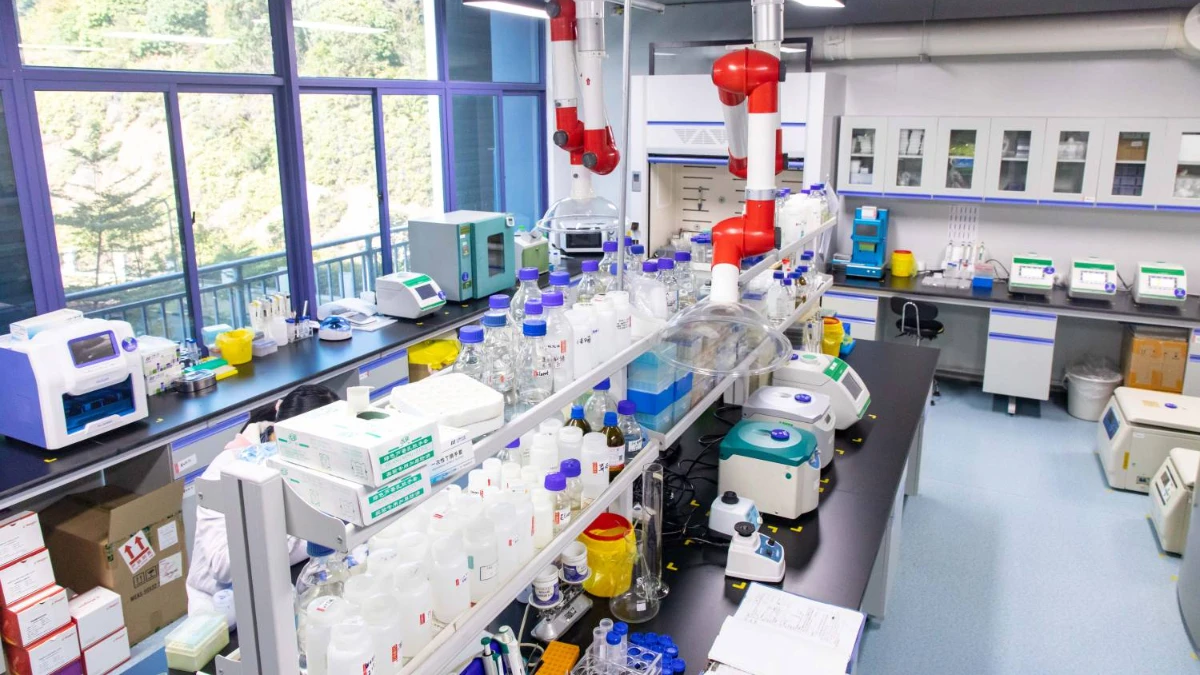 Guangzhou Dongsheng Biotech Co., Ltd. 2