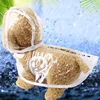 New soft material - white-edged transparent raincoat