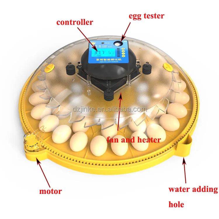Mini Chicken Egg Incubator Hatching Machine 12 Eggs Capacity Hatcher