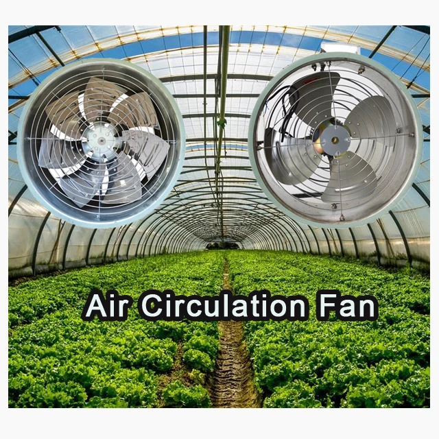 Air fan 1
