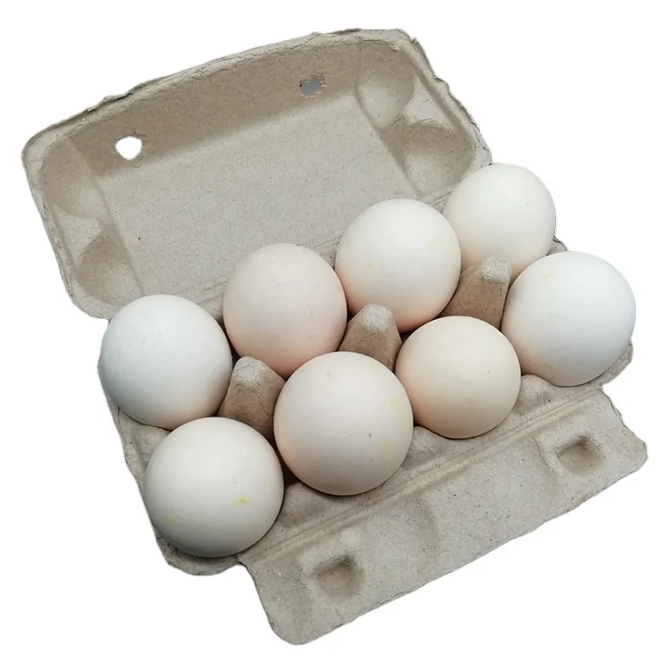 Jiklophg Lot de 20 cartons pour oeufs en carton cartons pour oeufs en papier blanc, une douzaine de cartons pour oeufs, conteneur vide, plateau d'oeufs en pâte Jiklophg Lot de 20 cartons pour oeufs en carton cartons pour oeufs en papier blanc, une douzaine de cartons pour oeufs, conteneur vide, plateau d'oeufs en pâte