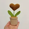 Plante en pot d'amour couleur café