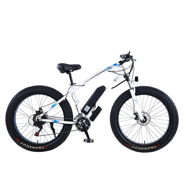Aluminum Frame 1000w 48v 20ah Electric Bicycle /7 Speed Electric