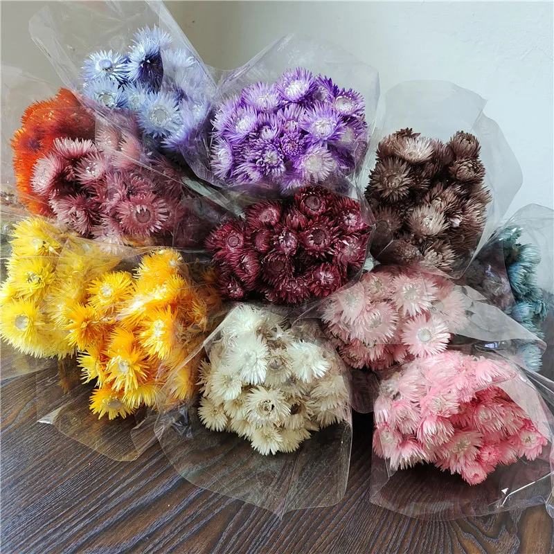 Wholesale Price Natural Dried Flowers Syncarpha Vestita Real