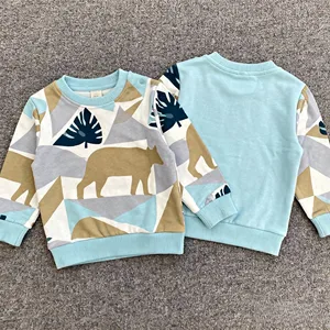 OEM ODM Factory Custom Kids Hoodie 100% Cotton Cartoon Graphic Design Kids Hoodie PulloverWith Logo Design