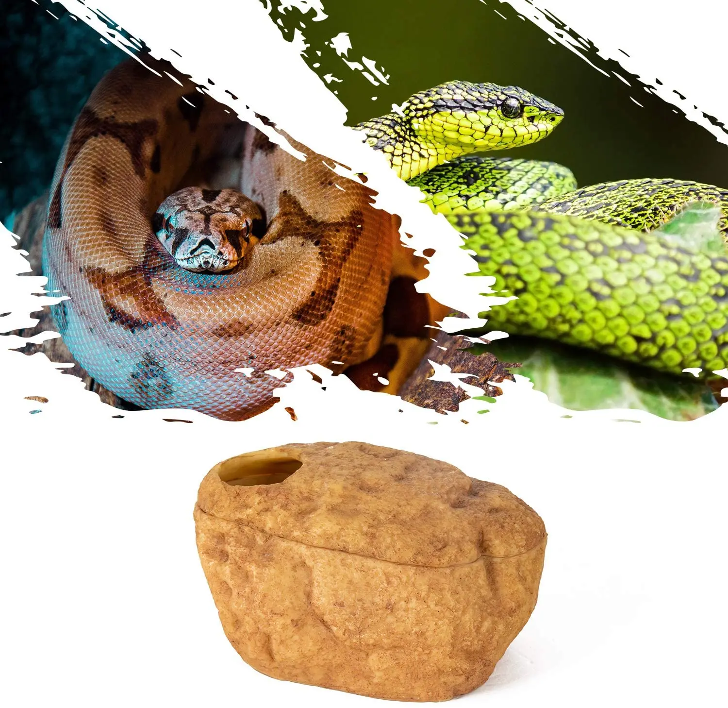 Reptizoo Attraction Cave For Reptiles And Amphibians Reptile