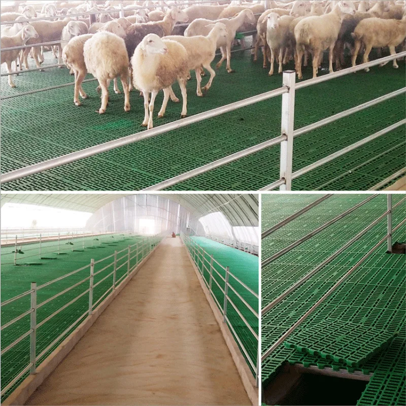 China 2022 New High Quality Sheep and Goat Flooring Farming Products Farm Equipment For Sale