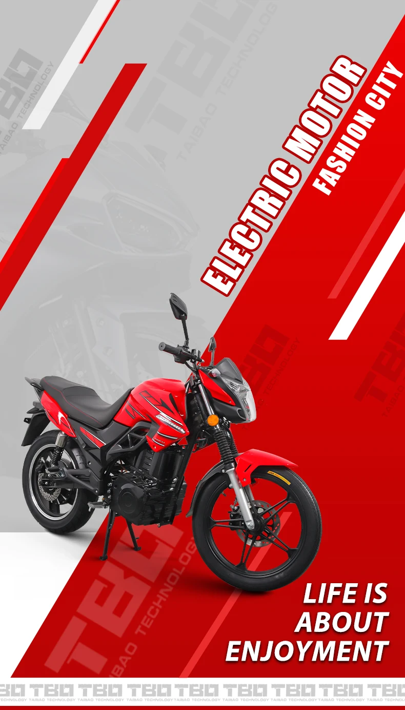 Fe Electric Off Road Motorcycle Dual Adult Street Electric Motorcycle