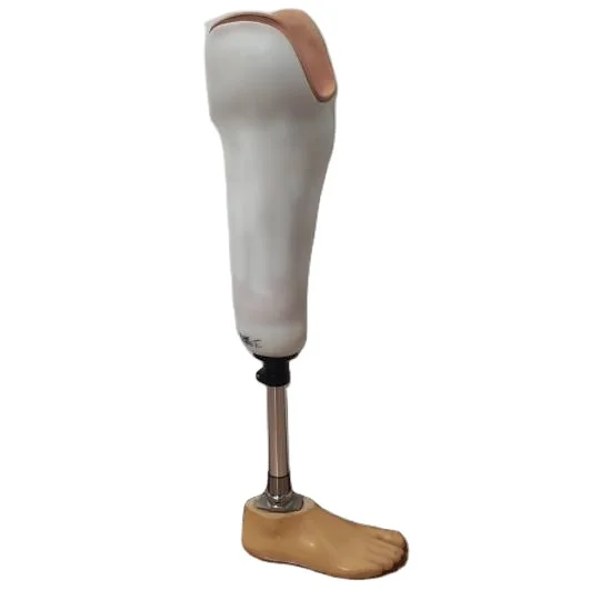 Artificial Limbs Leg Prosthetic Below Knee Joint For Prosthesis Leg Bk Artificial Limbs Leg Prosthetic Below Knee Joint For Prosthesis Leg Bk