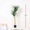 New white-stemmed green sisal - 120cm